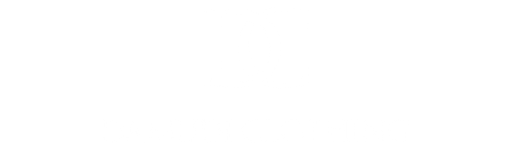 damudiclothing.com